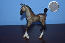 Load image into Gallery viewer, Grullo Foal-Trotting Warmblood Foal Mold-Breyer Classic