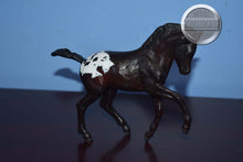Load image into Gallery viewer, Custom Appaloosa Welsh Foal-Welsh Pony Foal Mold-Breyer Traditional