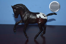 Load image into Gallery viewer, Custom Appaloosa Welsh Foal-Welsh Pony Foal Mold-Breyer Traditional