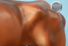 Load image into Gallery viewer, Longhorn Bull #2-New for 2025-Breyer Traditional
