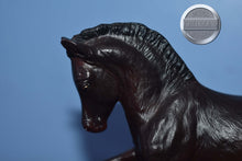 Load image into Gallery viewer, Custom Appaloosa Welsh Foal-Welsh Pony Foal Mold-Breyer Traditional