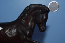 Load image into Gallery viewer, Custom Appaloosa Welsh Foal-Welsh Pony Foal Mold-Breyer Traditional