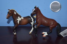 Load image into Gallery viewer, Lot of 2 CollectA's-CollectA
