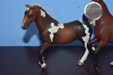 Load image into Gallery viewer, Lot of 2 CollectA's-CollectA
