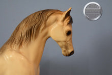 Load image into Gallery viewer, Family Arabian Stallion BODY-Family Arabian Stallion Mold-Breyer Traditional