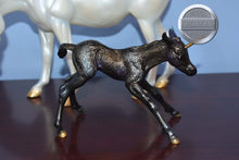 Load image into Gallery viewer, Diadem and Alcor-Susecion and Lefire Mold-Breyer Traditional