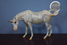Load image into Gallery viewer, Diadem and Alcor-Susecion and Lefire Mold-Breyer Traditional