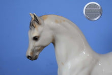 Load image into Gallery viewer, Family Arabian Stallion BODY-Family Arabian Stallion Mold-Breyer Traditional