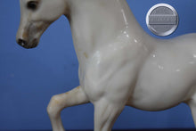 Load image into Gallery viewer, Family Arabian Stallion BODY-Family Arabian Stallion Mold-Breyer Traditional