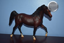 Load image into Gallery viewer, Ofir Sire of Witez II-Black Stallion Mold-Breyer Traditional