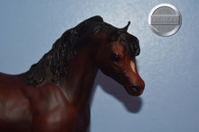 Load image into Gallery viewer, Ofir Sire of Witez II-Black Stallion Mold-Breyer Traditional