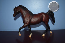 Load image into Gallery viewer, Ofir Sire of Witez II-Black Stallion Mold-Breyer Traditional