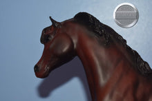 Load image into Gallery viewer, Ofir Sire of Witez II-Black Stallion Mold-Breyer Traditional