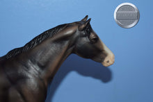 Load image into Gallery viewer, Grullo Lady Phase-Lady Phase Mold-Breyer Traditional