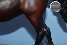 Load image into Gallery viewer, Ofir Sire of Witez II-Black Stallion Mold-Breyer Traditional
