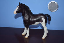 Load image into Gallery viewer, Shadow-Clydesdale Foal Mold-Breyer Traditional