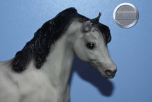 Load image into Gallery viewer, Greystreak Action Arabian-Black Stallion Mold-Breyer Traditional
