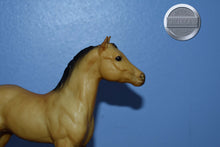 Load image into Gallery viewer, Buckskin Foal-Standing Stock Horse Foal Mold-Breyer Traditional