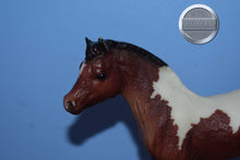 Load image into Gallery viewer, Art Class Set Foal ONLY-Phantom Wings Mold-Breyer Traditional