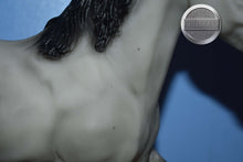 Load image into Gallery viewer, Greystreak Action Arabian-Black Stallion Mold-Breyer Traditional