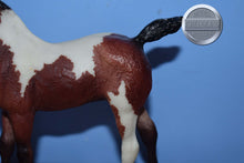 Load image into Gallery viewer, Art Class Set Foal ONLY-Phantom Wings Mold-Breyer Traditional