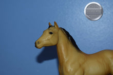 Load image into Gallery viewer, Buckskin Foal-Standing Stock Horse Foal Mold-Breyer Traditional