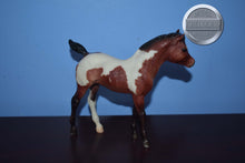 Load image into Gallery viewer, Art Class Set Foal ONLY-Phantom Wings Mold-Breyer Traditional