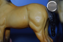 Load image into Gallery viewer, Buckskin Foal-Standing Stock Horse Foal Mold-Breyer Traditional