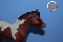 Load image into Gallery viewer, Art Class Set Foal ONLY-Phantom Wings Mold-Breyer Traditional