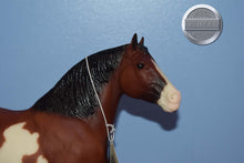 Load image into Gallery viewer, Northumberland Flower Girl-Clydesdale Mare Mold-Breyer Traditional