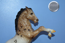Load image into Gallery viewer, Leopold-Vintage Club Exclusive-Fighting Stallion Mold-Breyer Traditional