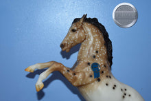 Load image into Gallery viewer, Leopold-Vintage Club Exclusive-Fighting Stallion Mold-Breyer Traditional