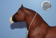 Load image into Gallery viewer, Northumberland Flower Girl-Clydesdale Mare Mold-Breyer Traditional