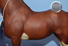 Load image into Gallery viewer, Northumberland Flower Girl-Clydesdale Mare Mold-Breyer Traditional