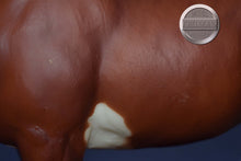 Load image into Gallery viewer, Northumberland Flower Girl-Clydesdale Mare Mold-Breyer Traditional