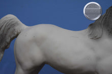 Load image into Gallery viewer, Equus Arabian Race Horse-Black Stallion Mold-Breyer Traditional