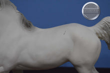 Load image into Gallery viewer, Equus Arabian Race Horse-Black Stallion Mold-Breyer Traditional