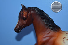 Load image into Gallery viewer, JAH Appaloosa Mare-Running Mare Mold-Breyer Traditional
