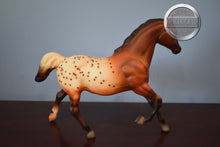 Load image into Gallery viewer, JAH Appaloosa Mare-Running Mare Mold-Breyer Traditional