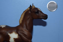 Load image into Gallery viewer, Liver Chestnut Pinto Running Foal-Running Foal Mold-Breyer Traditional