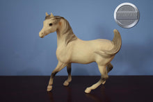 Load image into Gallery viewer, BODY-Sham Arabian Mold-Breyer Traditional