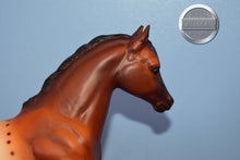Load image into Gallery viewer, JAH Appaloosa Mare-Running Mare Mold-Breyer Traditional