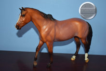Load image into Gallery viewer, Kentucky-CHIPPED EAR-San Domingo Mold-Breyer Traditional