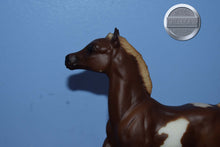 Load image into Gallery viewer, Liver Chestnut Pinto Running Foal-Running Foal Mold-Breyer Traditional