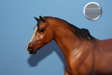 Load image into Gallery viewer, Kentucky-CHIPPED EAR-San Domingo Mold-Breyer Traditional