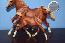 Load image into Gallery viewer, Sugar and Spice-Running Mare and Running Foal Mold-Breyer Traditional
