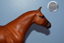 Load image into Gallery viewer, Progeny of Wimpy P-1-Ideal Quarter Horse Mold-Breyer Traditional
