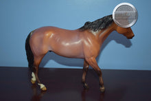Load image into Gallery viewer, Kentucky-CHIPPED EAR-San Domingo Mold-Breyer Traditional