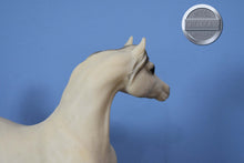 Load image into Gallery viewer, BODY-Sham Arabian Mold-Breyer Traditional