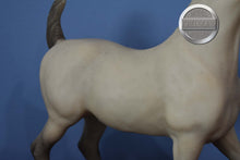 Load image into Gallery viewer, BODY-Sham Arabian Mold-Breyer Traditional